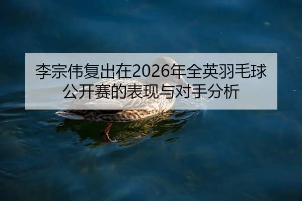 li-zong-wei-fu-chu-zai-nian-quan-ying-yu-mao-qiu-gong-kai-sai-de-biao-xian-yu-dui-shou-fen-xi-2-742.jpg