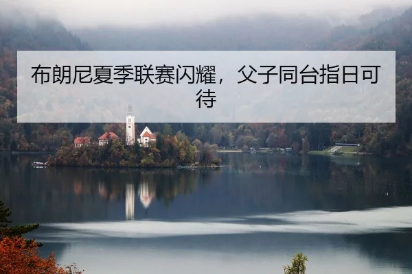 布朗尼夏季联赛闪耀，父子同台指日可待