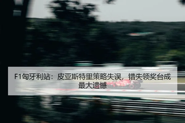 xiong-ya-li-zhan-pi-ya-si-te-li-ce-lve-shi-wu-cuo-shi-ling-jiang-tai-cheng-zui-da-yi-han-2-603.jpg