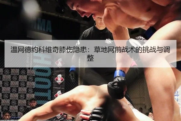 wen-wang-de-yue-ke-wei-qi-xi-shang-yin-huan-cao-di-wang-qian-zhan-shu-de-tiao-zhan-yu-tiao-zheng-3-890.jpg