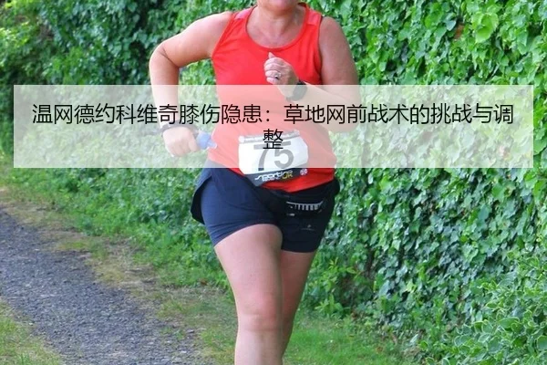 温网德约科维奇膝伤隐患：草地网前战术的挑战与调整