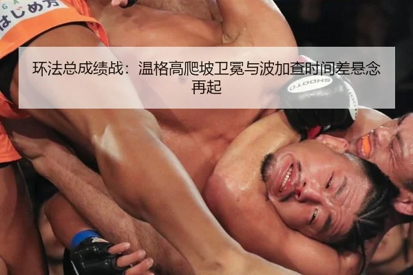 环法总成绩战：温格高爬坡卫冕与波加查时间差悬念再起