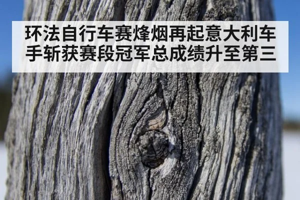 环法自行车赛烽烟再起意大利车手斩获赛段冠军总成绩升至第三
